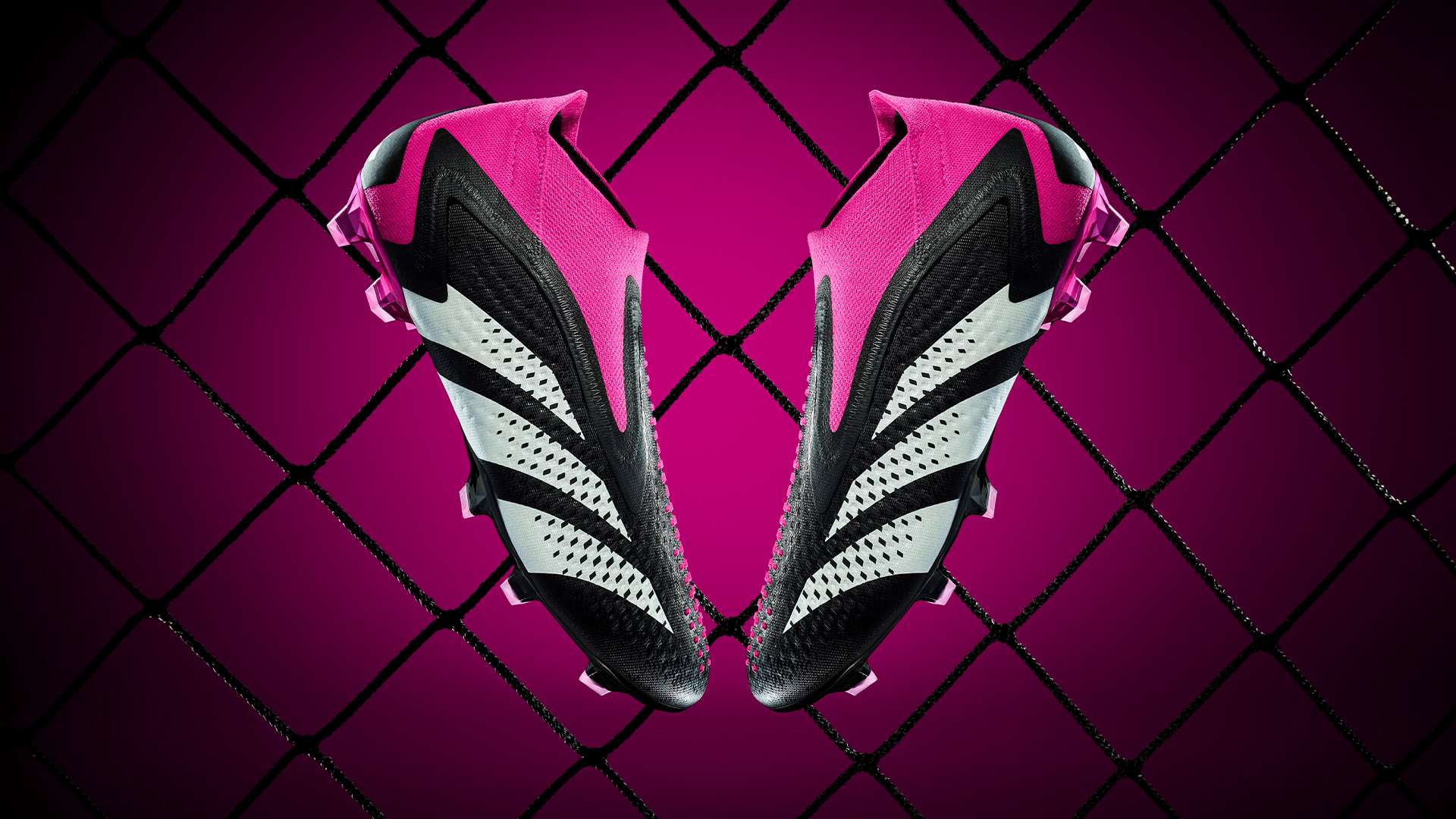 天才少年 天才少年