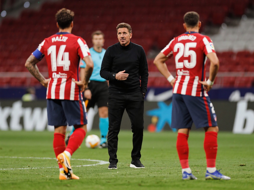 家队带来一 家队带来一